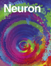 Neuron期刊封面